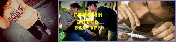 гидра Богородск