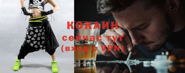 PSILOCYBIN Богородицк