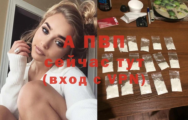 PSILOCYBIN Богородицк