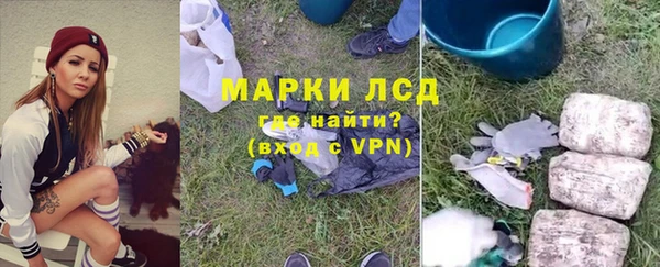 гидра Богородск