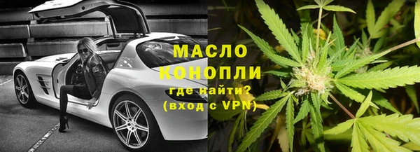 гидра Богородск