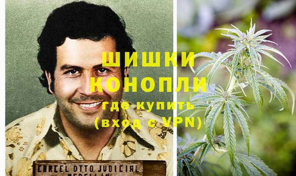 гидра Богородск