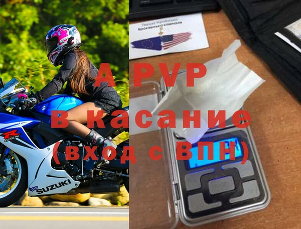 гидра Богородск