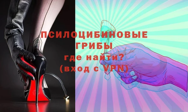 гидра Богородск